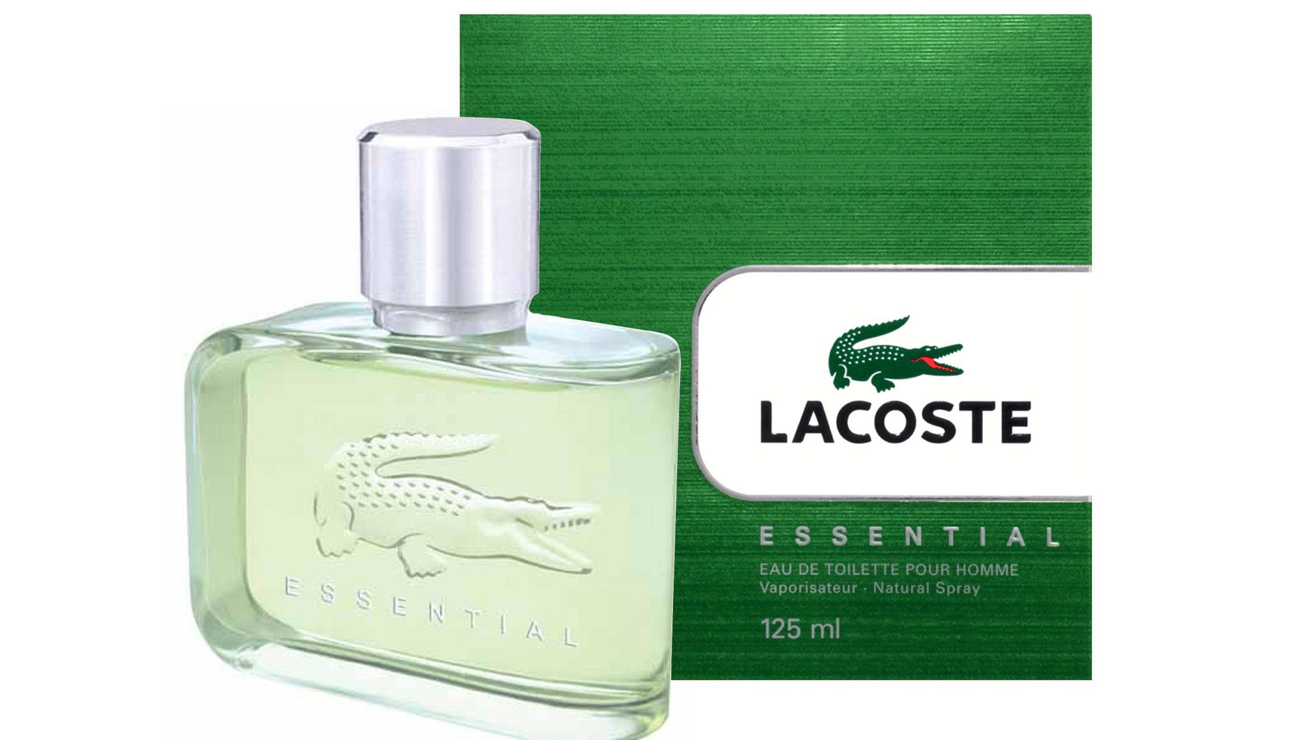 lacoste 2022 homme